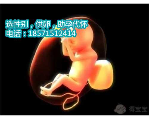 厦门代生服务平台,北京做试管婴儿出名的医院有哪些